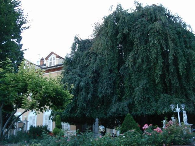 Park Hotel Villa Salzea Trofarello Екстериор снимка